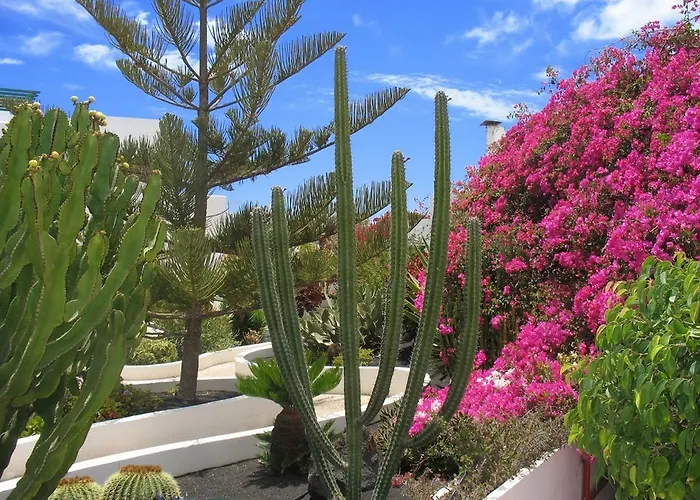 El Guarapo Lejlighedshotel