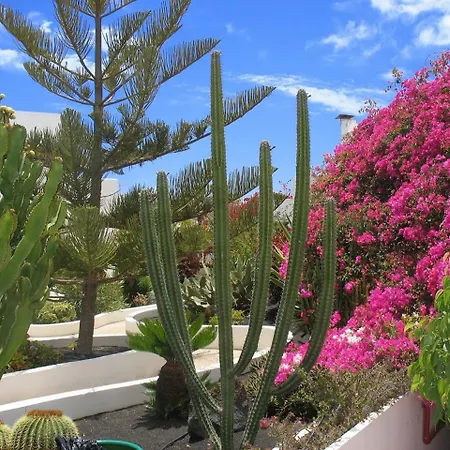 El Guarapo Lejlighedshotel
