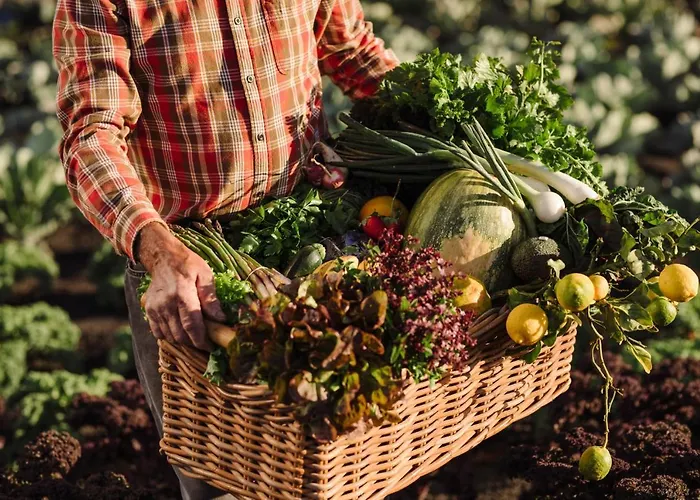 El Guarapo Ξενοδοχείο με διαμερίσματα