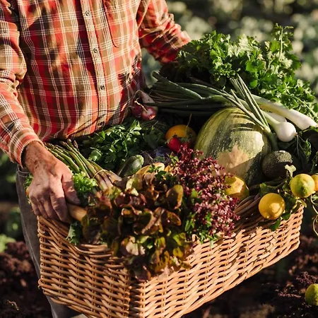 El Guarapo Aparthotel